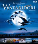 WATARIDORI �f�B���N�^�[�Y��J�b�g -�f�W�^������X�g�A��o�[�W����-