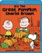 It's The Great Pumpkin.Charlie Brown