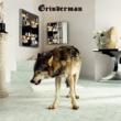 Grinderman 2