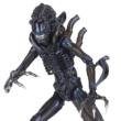 SCI-FI REVOLTECH SERIES No.016 Alien Warrior