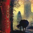 Sun In The House Of The Scorpion (180g)