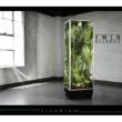 Vivarium