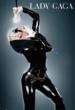 Lady Gaga / The Fame Poster