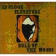 Bull Of The Woods