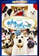 Hotel For Dogs