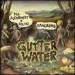 Gutter Water