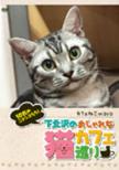 Shimokitazawa Oshare Na Neko Cafe Meguri