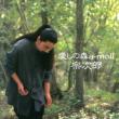 Itoshi No Mori A-Moll