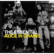 Essential Alice In Chains