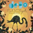 Flamingoh (Pink Bird Dawn)