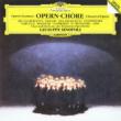 Opera Choruses: Sinopoli / Deutschen Oper Berlin O & Cho