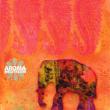 Aroma Meditation