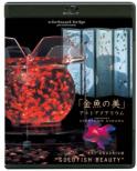 Virtual Trip Presents [kingyo No Bi]art Aquarium