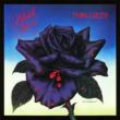 Black Rose