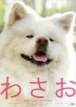Wasao