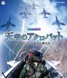 NHK VIDEO Tenkuu No Acrobat: Blue Impulse No Otoko Tachi
