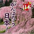 Yappari Nippon!Ganbarou Nippon!