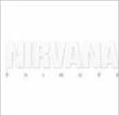Nirvana: Tribute