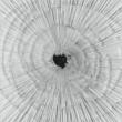 Demiurge
