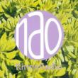 Nao