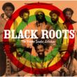 Reggae Singles Anthology Black Roots