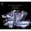 Motets BWV, 225-230, : Herreweghe / Collegium Vocale Gent (2010)
