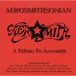 Aerosmithsonian