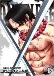 One Piece 14th Season Marine Ford Hen Piece.1