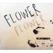 FLOWER (+DVD)[First Press Limited Edition] OLDCODEX