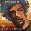 Storm Music `the Best Of`