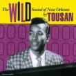 Wild Sound Of New Orleans (180g)