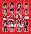 AKB Changing Sticker Book Team B