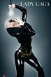Lady Gaga / The Fame Poster