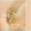 Peaceful Days Gift Of Life -Strings Melody With Orchestra Instrumental