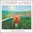 Nomad Series Vol 3: Sing In My Meadow (180g)