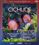 Plasma Art: Tropical Aquariums -Cichlids