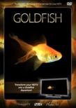 Plasma Art: Goldfish