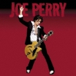 Joe Perry