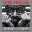 Raw Delta Blues