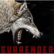 Surrender