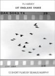 Let England Shake: 12 Short Films By Seamus Murphy