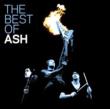 Best Of