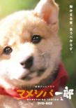 Renzoku Tv Drama Mameshiba Ichiro Dvd-Box