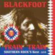 Train Train -Southern Rock's Best Live