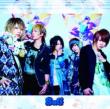 Fukanzen Beautyfool Days (+DVD)[First Press Limited Edition A]