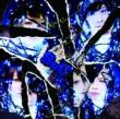 Fukanzen Beautyfool Days (+DVD)[First Press Limited Edition B]