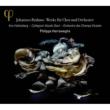 Alto Rhapsody, Schicksalslied, etc : Herreweghe / Champs Elysees Orchestra, Collegium Vocale Gent, Hallenberg