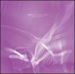Speechless Remixes 2