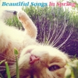 -Beautiful Songs In Spring-Jazz De Kiku Haruno Uta