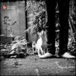 Hi-hat Club Vol.6 -Haus & Garten